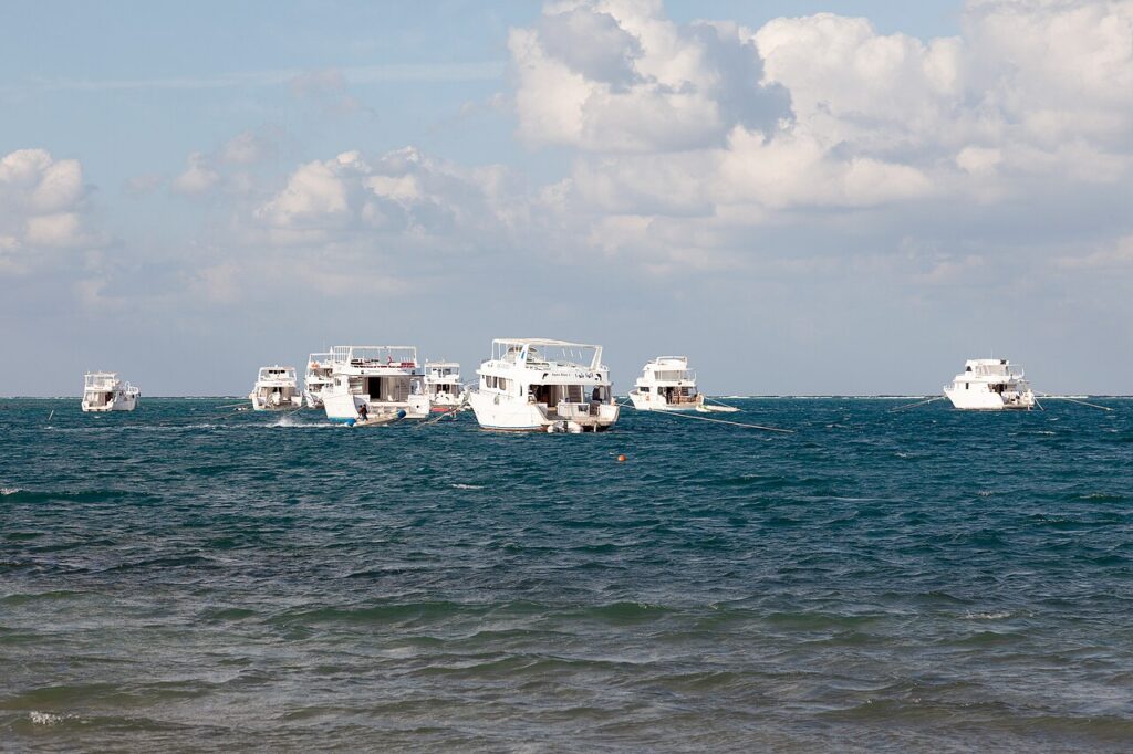 Private Yacht vs Shared Liveaboard in the Red Sea: Which Is Right for You?